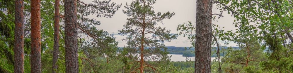 Lisää tietokoneita (3)