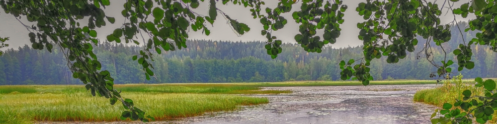 Ura ja tietokoneet (2)