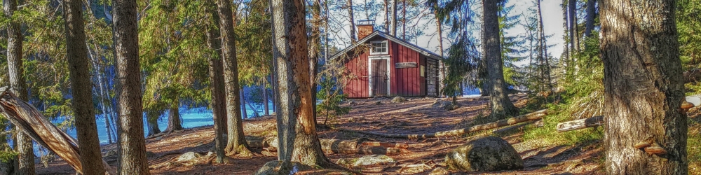 Toiminnanvetäjä (4)