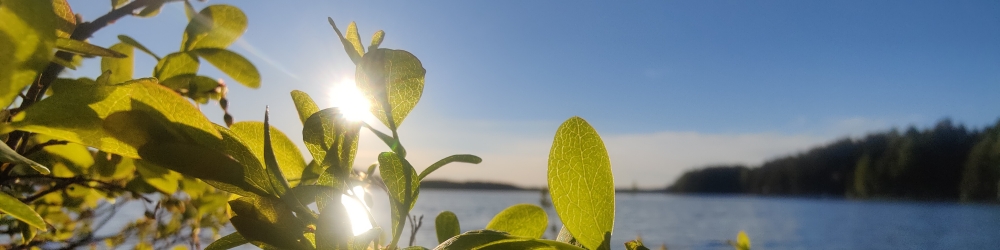 Biodiversiteetti.nyt
