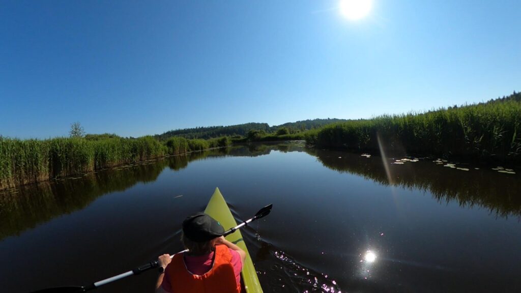 Meloja kajakissa joella. 
